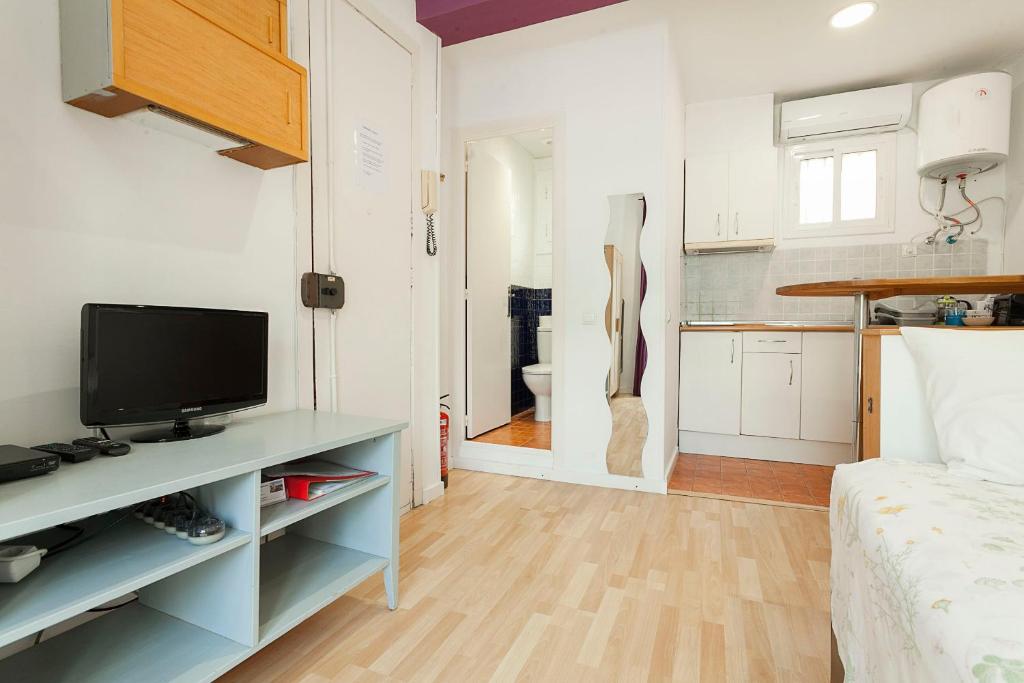 Televízia a/alebo spoločenská miestnosť v ubytovaní SAGRADA FAMILIA APARTAMENT