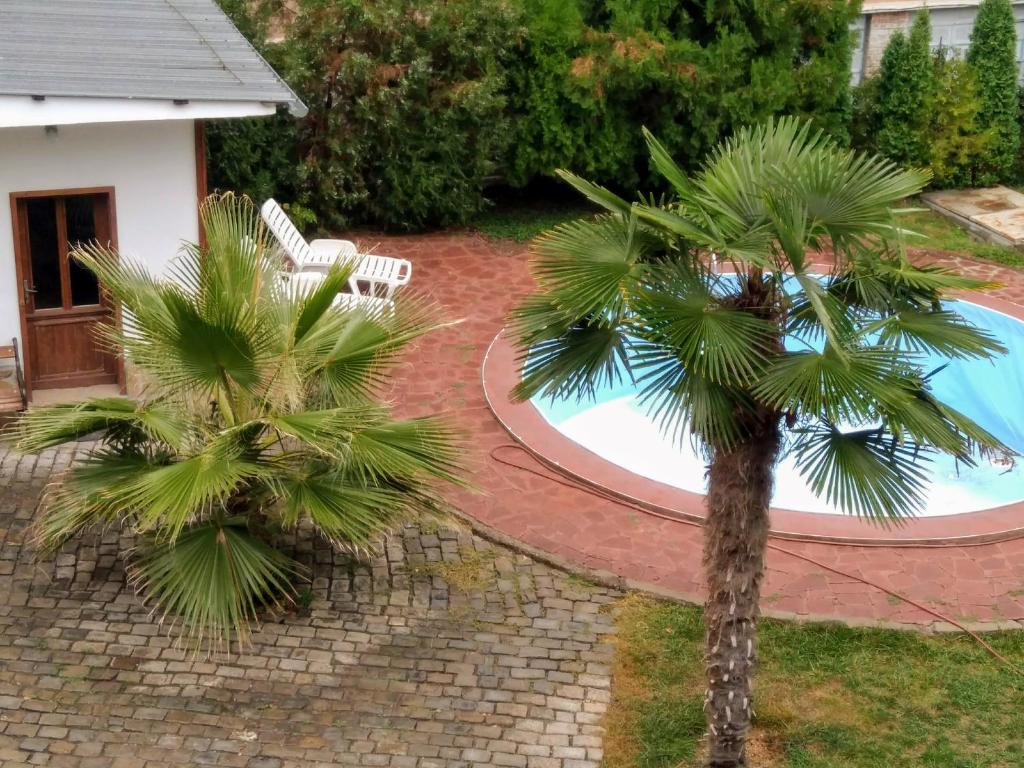 The swimming pool at or close to Villa Dryanovo