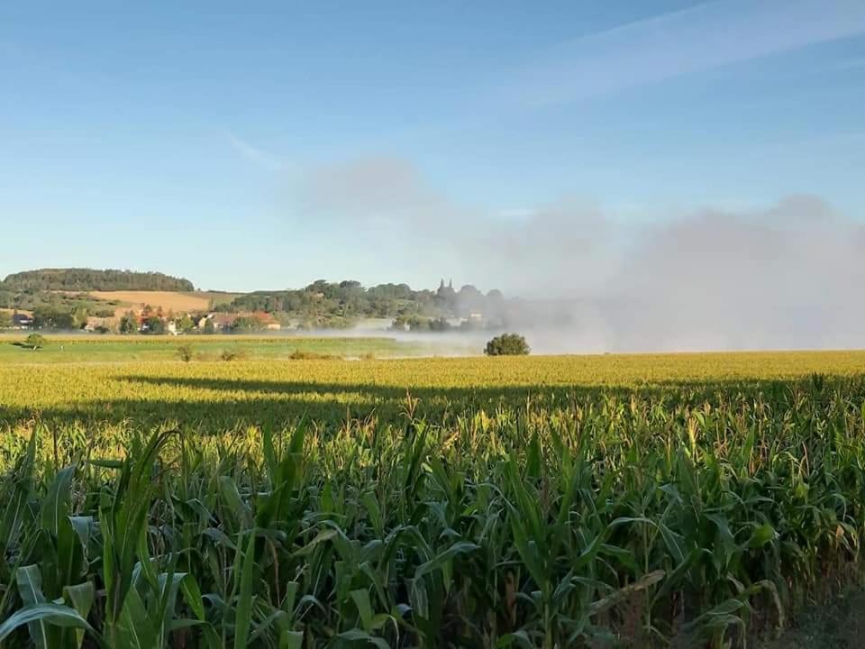 Reiterhof Schmidt, Gaststätte & Pension - Error