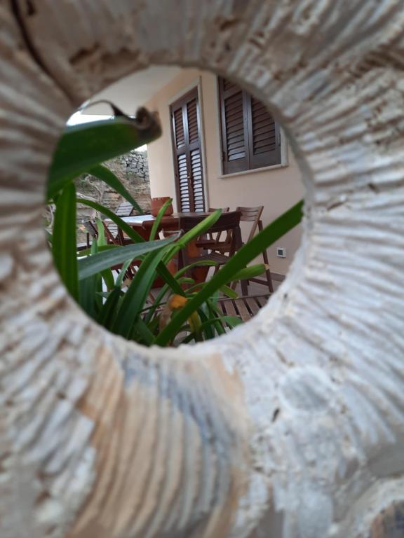 Fotografie z fotogalerie ubytování Villa Oblò v destinaci Favignana