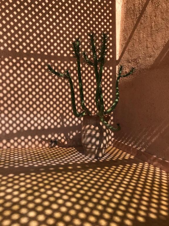 Imagem da galeria de Côté Sud em Ouarzazate