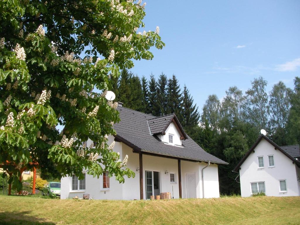 ein weißes Haus mit schwarzem Dach in der Unterkunft Dům na Lipně in Lipno nad Vltavou