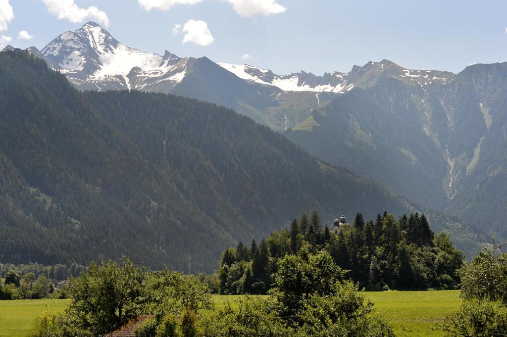 un campo verde con montañas al fondo en Landhaus Stefanie, en Mayrhofen