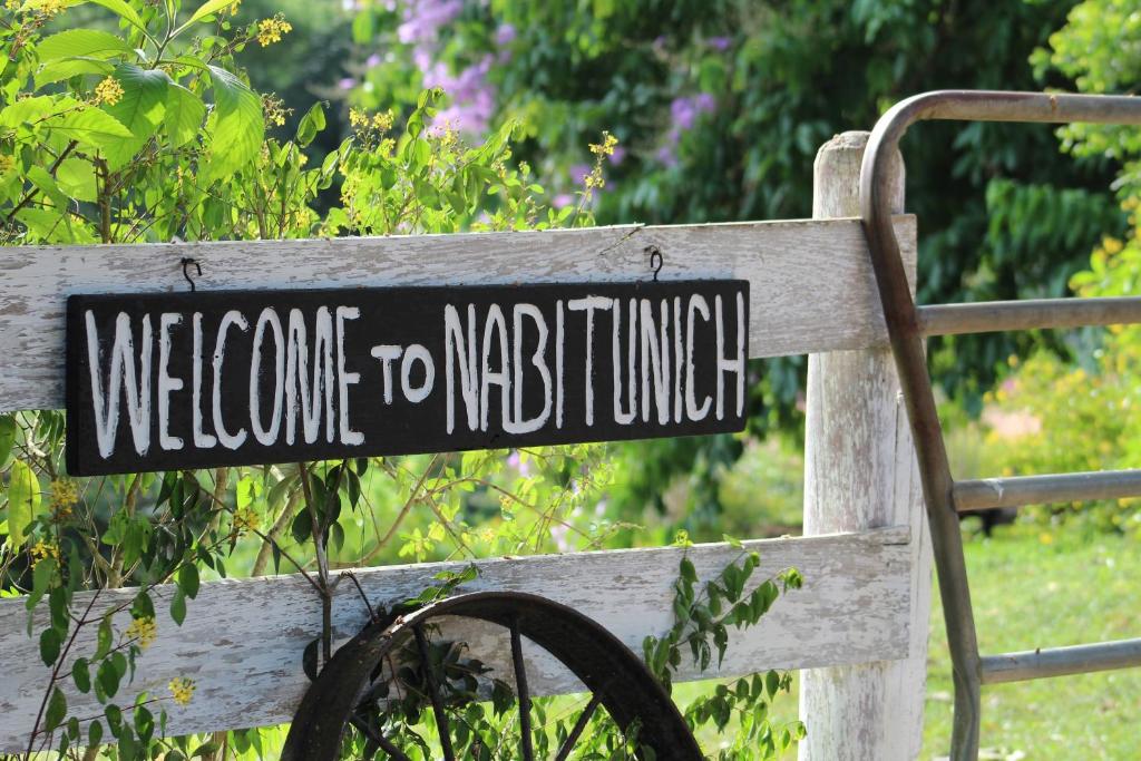 聖伊格納西奧的住宿－Nabitunich，一张写着欢迎冥想的长椅上的标志