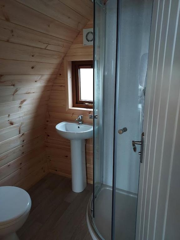 AphortにあるArranmore Glampingのバスルーム(シャワー、洗面台、トイレ付)