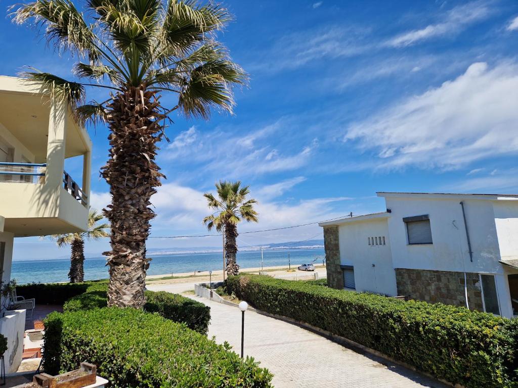 a house and palm trees next to a beach at Jani's Beach House in Neoi Epivates