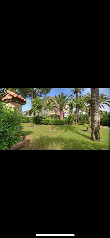 Elle offre une vue sur une cour avec des palmiers et une maison. dans l'établissement Residence Eden park, à Cannes