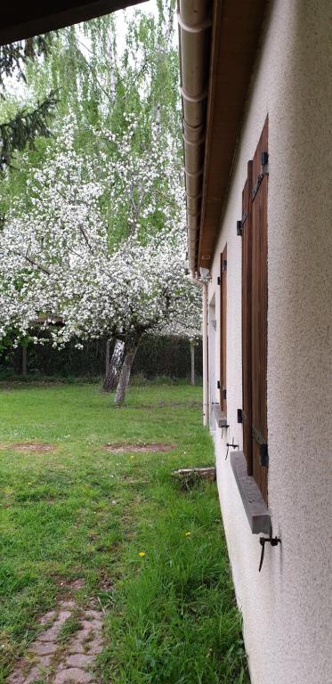 um edifício com uma janela e um quintal com árvores em Maison entre relooking et modernité dans un cadre verdoyant pour amoureux de grands espaces em Nogent-sur-Vernisson