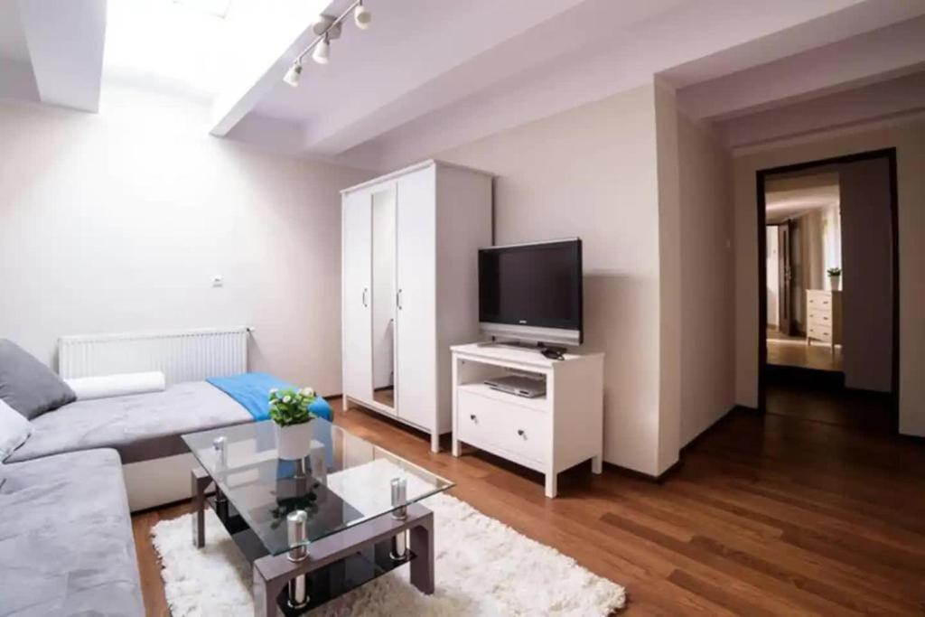 salon z kanapą i telewizorem w obiekcie Urban Nest Apartments Szewska 21-19 w Krakowie