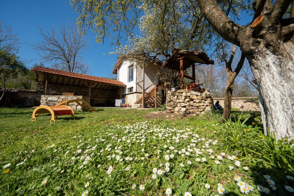 Zahrada ubytování Adventure Camp Emen