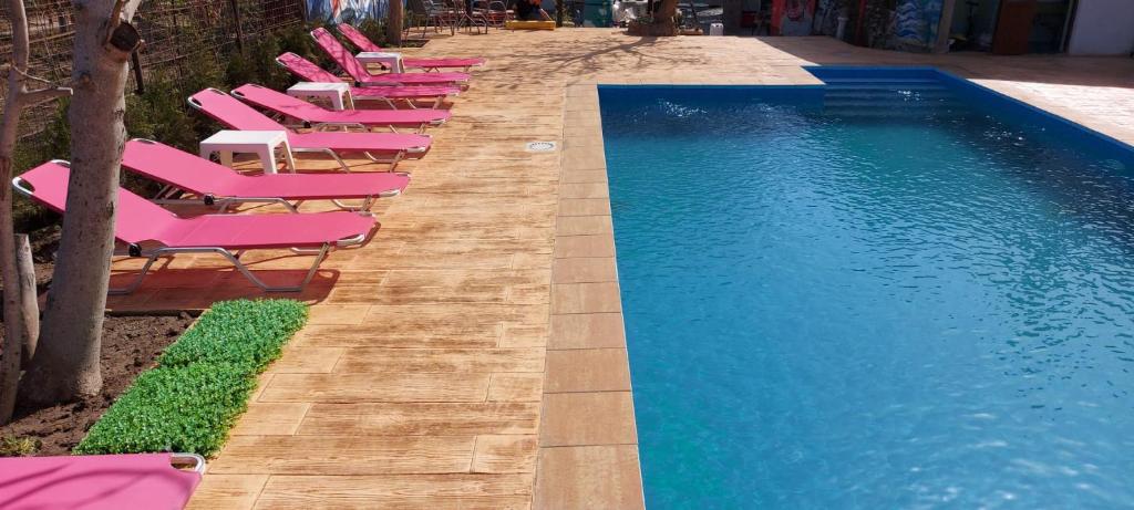 Lumina的住宿－PENSIUNEA LAINER，游泳池旁的一排粉红色躺椅