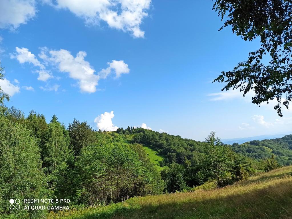 Paesaggio naturale nelle vicinanze della casa vacanze