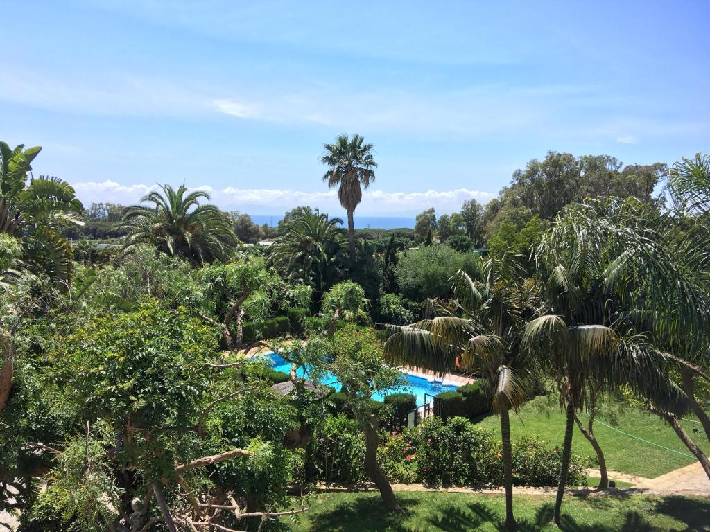 un complejo con piscina y palmeras en Hotel La Peña en Tarifa