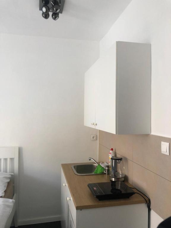 Kuchyň nebo kuchyňský kout v ubytování Apartman Kryštof