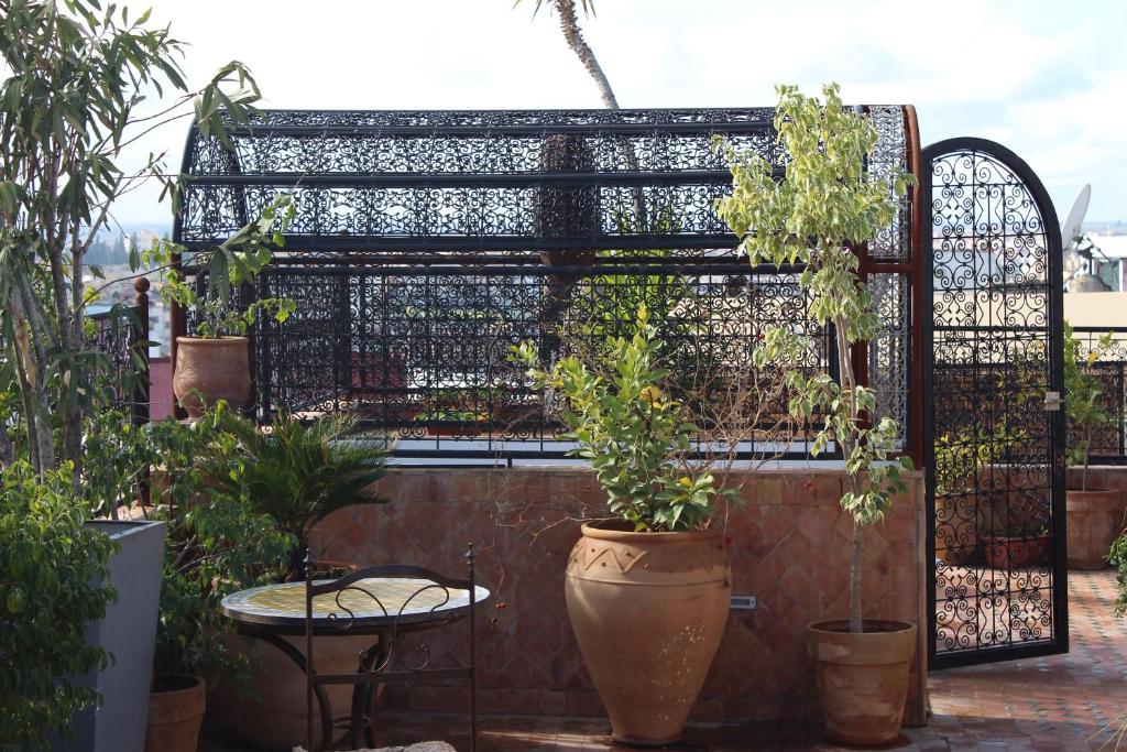 Zahrada ubytování Riad le petit ksar