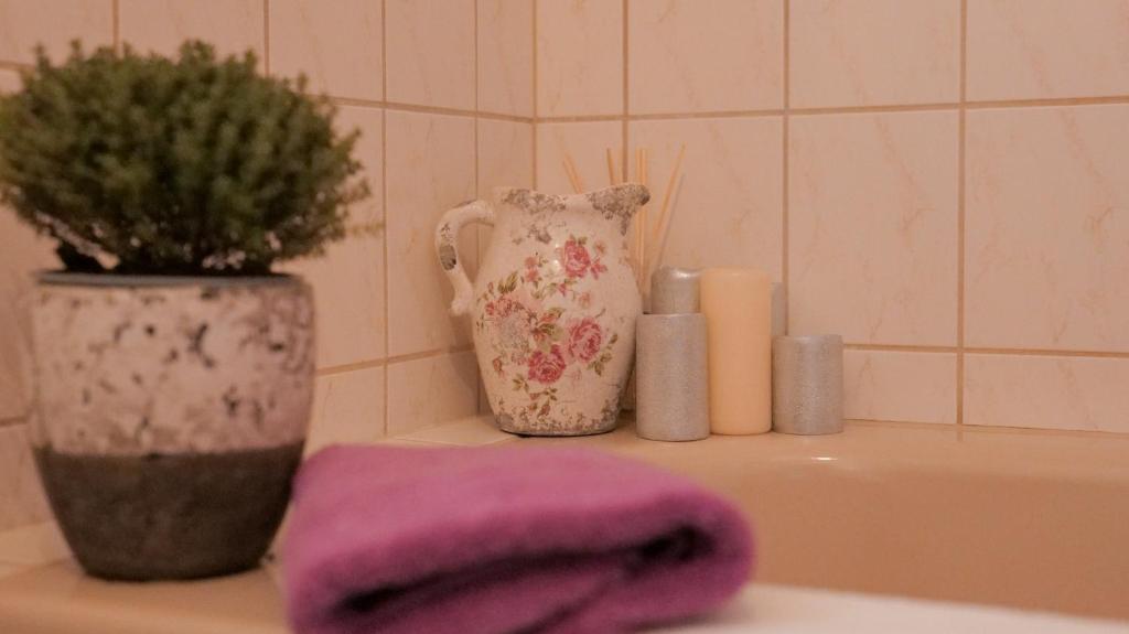 een badkamer met een plant en een vaas op een wastafel bij Ferienhaus Dornröschen in Osterode