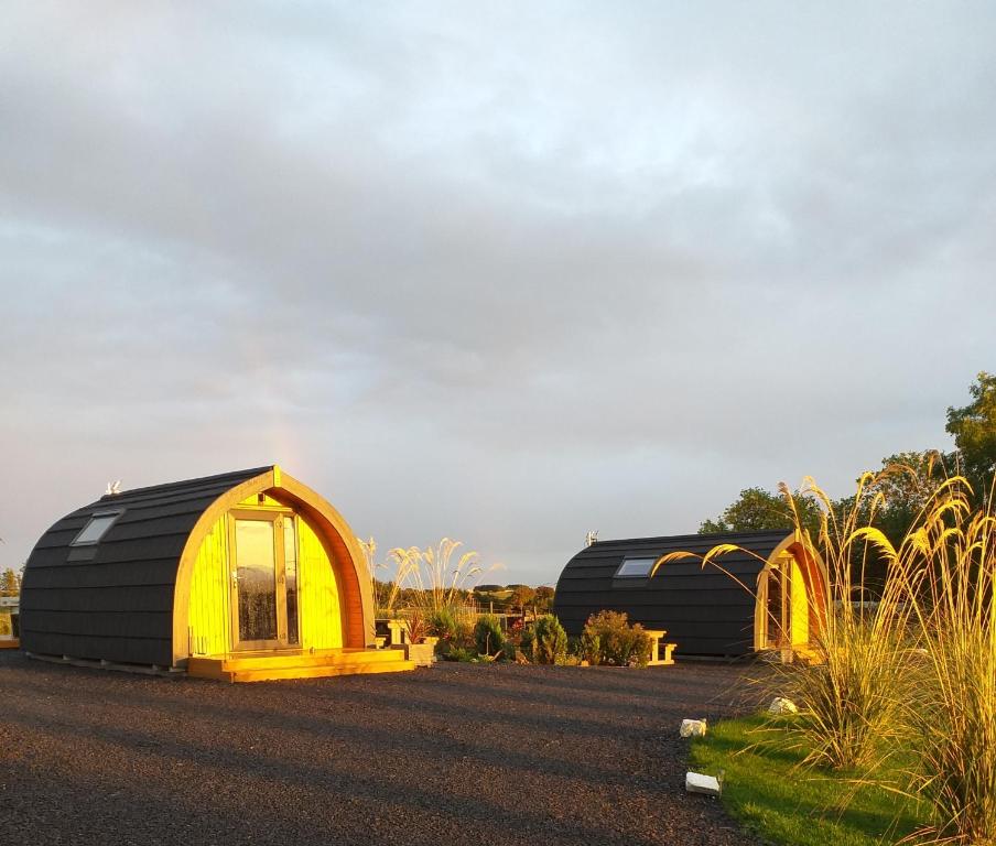 a couple of black and yellow domes in a yard at North Star Glamping in Lybster
