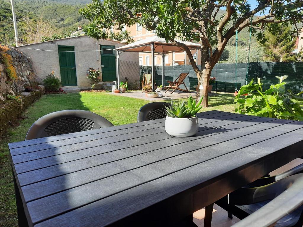 a wooden table with a potted plant sitting on it at Appartamento Blu in Deiva Marina