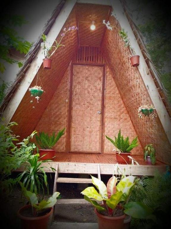 Um jardim no exterior de SHUKRAN Apartelle
