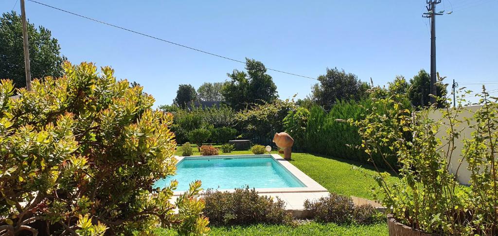 mały basen w ogrodzie w obiekcie House with pool CASA DA FAIA - AVEIRO (Estarreja) w mieście Avanca