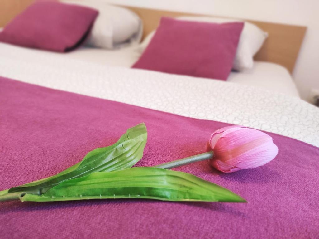 Apartment Katica Mostar - Two-Bedroom Apartment