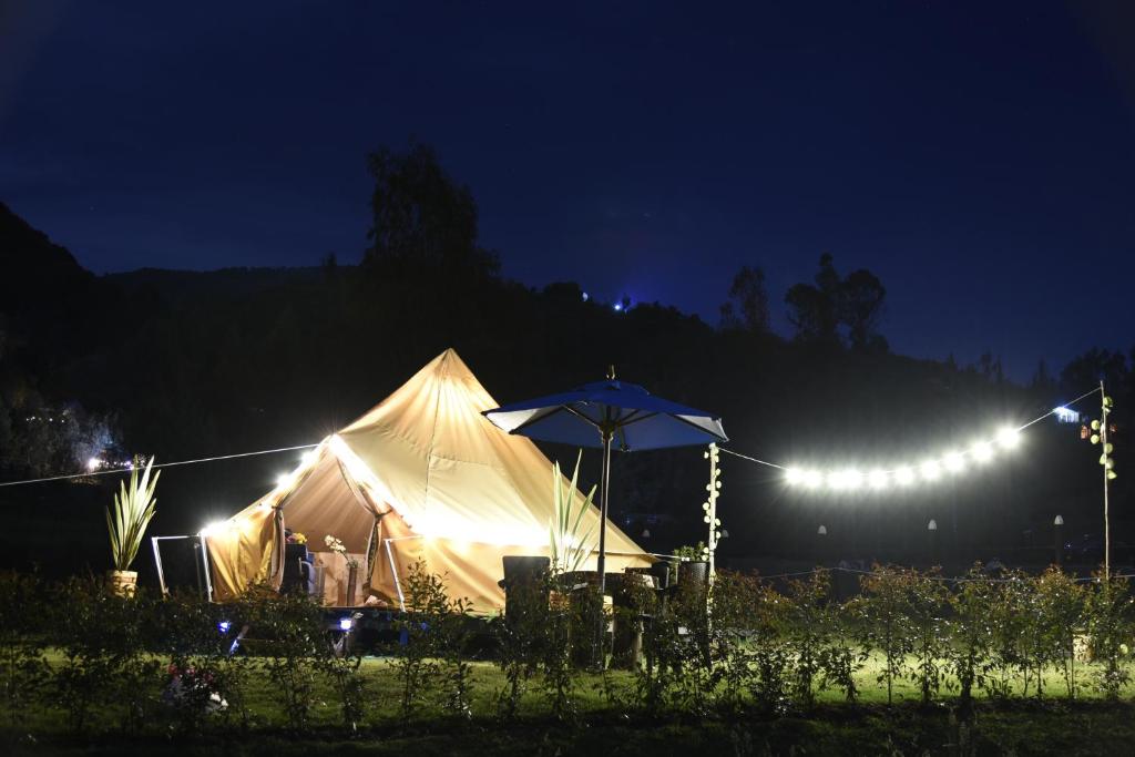 Zahrada ubytování Glamping Claro de Luna