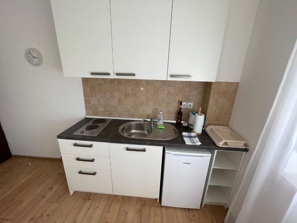 Kuchyňa alebo kuchynka v ubytovaní VIP Apartments & Room