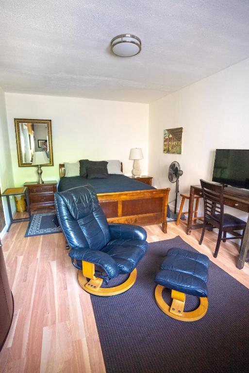 a bedroom with a bed and a chair and a television at Cozy private Guest House in Los Angeles