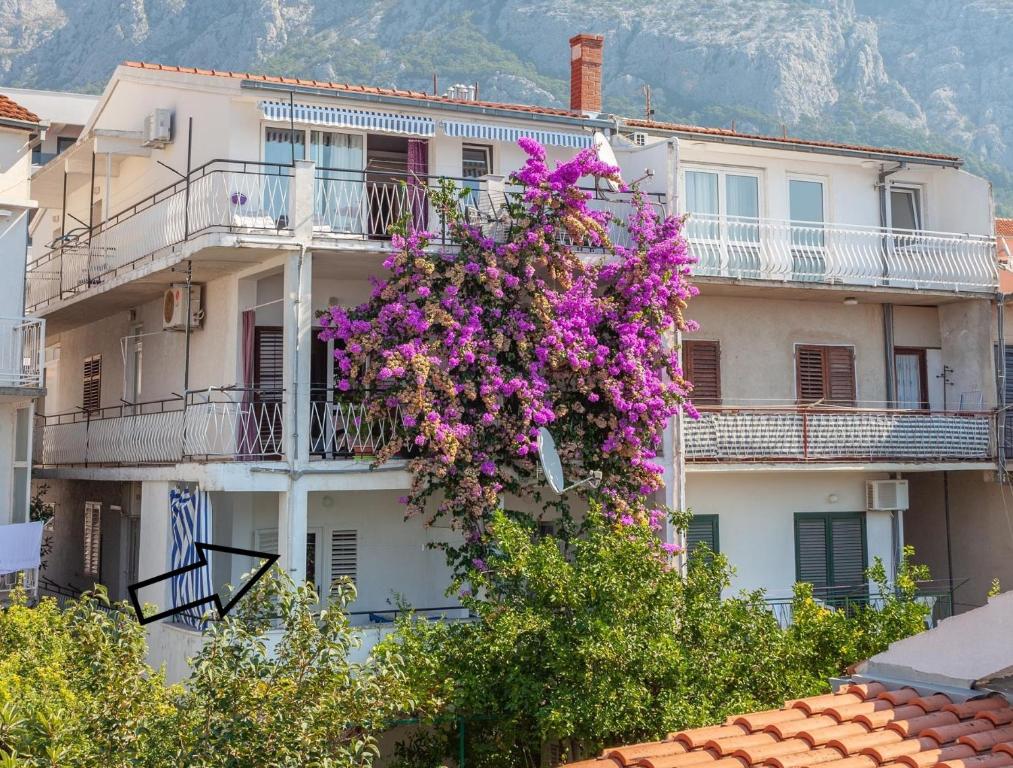 Výhľad na hory alebo výhľad na hory priamo z apartmánu
