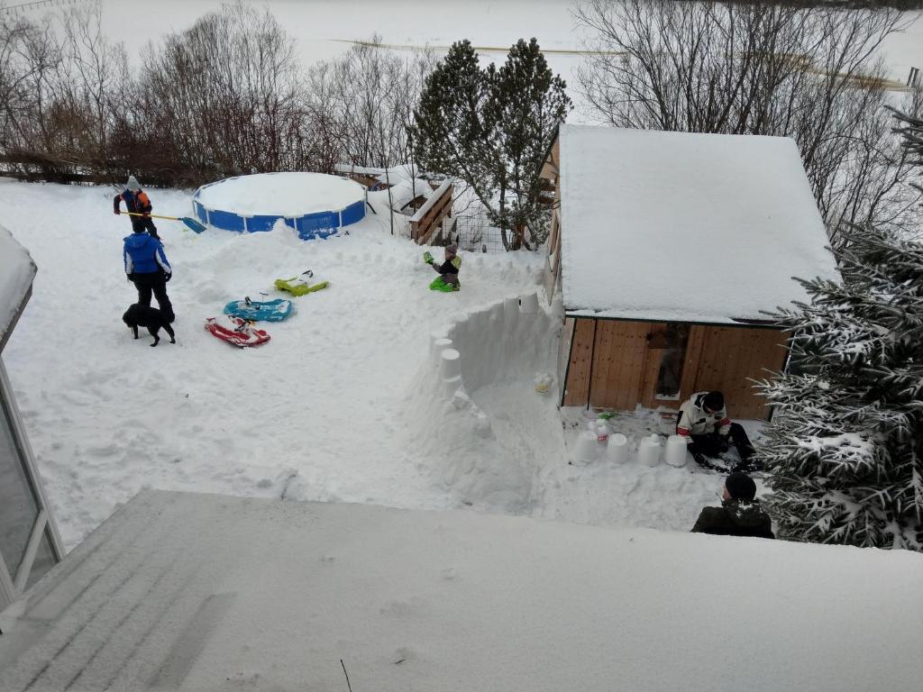Apartment Erlauf - Ursprung, - 6 Personen, Outdoorsauna mit Bachzugang v zimě