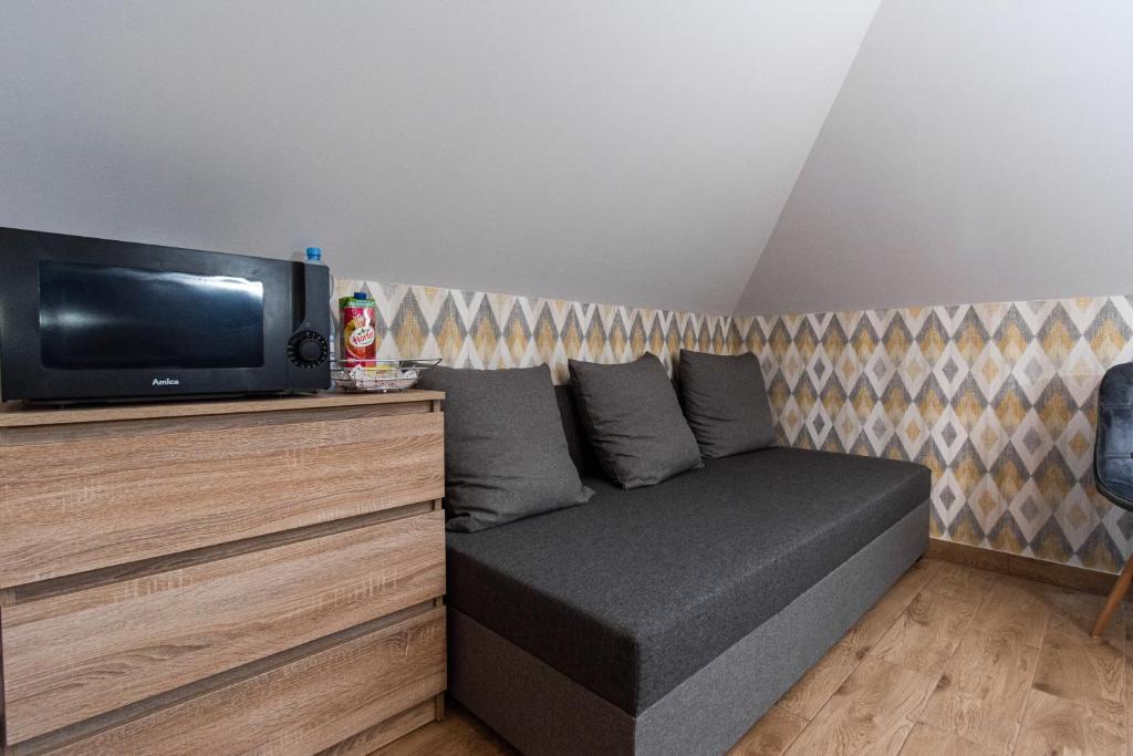 Televízia a/alebo spoločenská miestnosť v ubytovaní Apartamenty Jantar