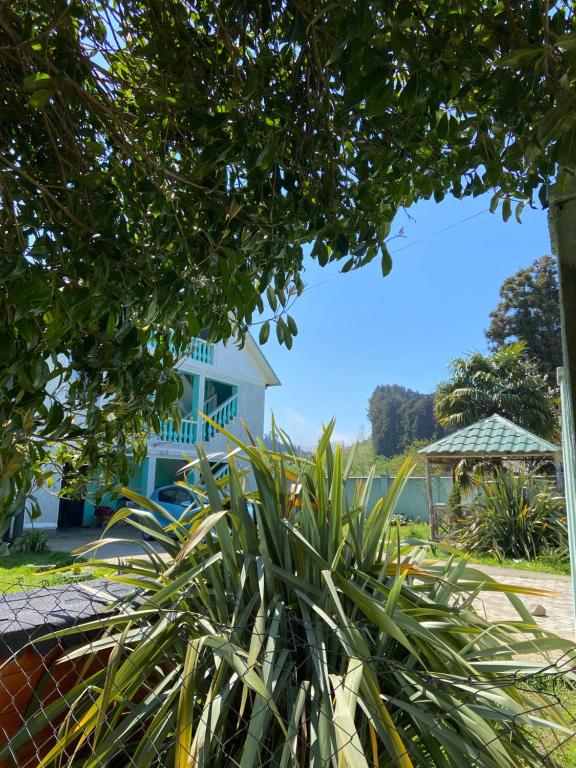 a blue house with a tree in front of it at Homestay in Batumi Дом в Чакви in Chakvi