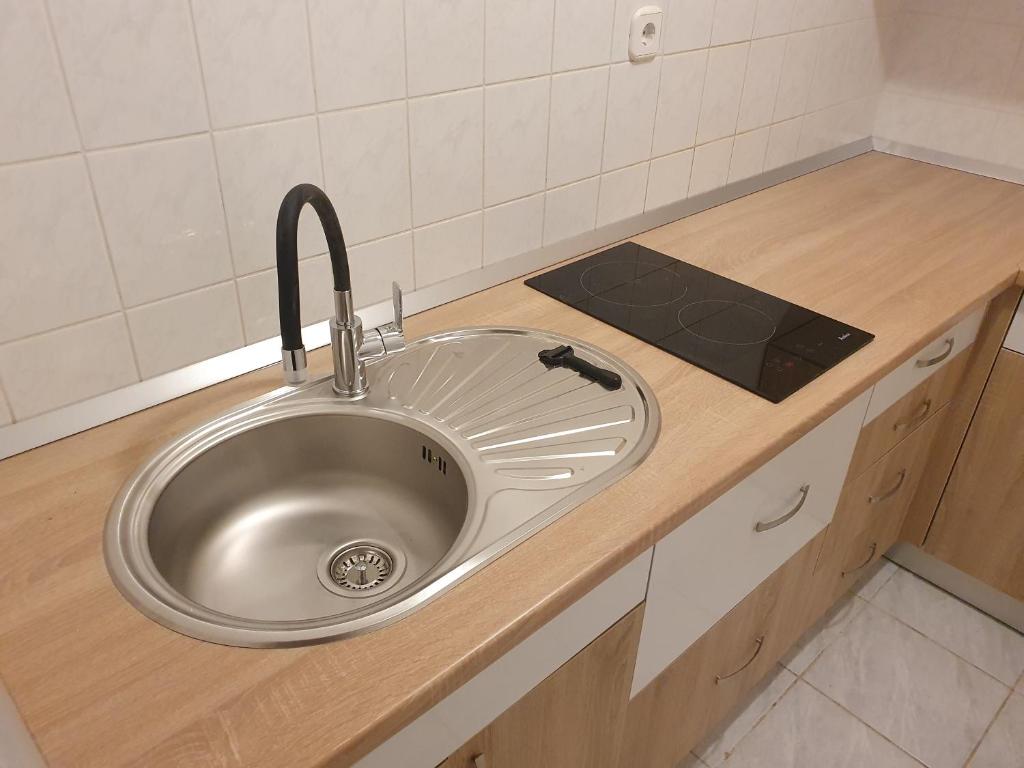 Kuchyň nebo kuchyňský kout v ubytování Guesthouse Dupin