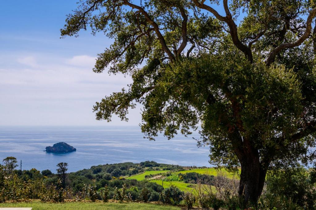 a tree on a hill with the ocean in the background at Faenna - Zeus Blue Villas, Kefalonia in Kefallonia