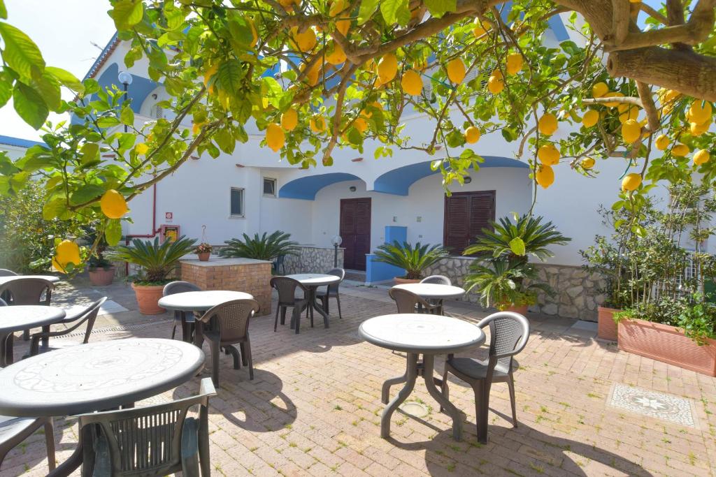 a patio with tables and chairs under an orange tree at Hotel Celeste in Procida