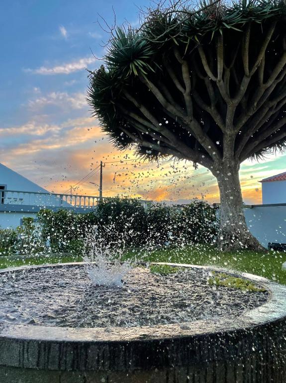 a water fountain with a tree in the background at Casa Às Seis in Angra do Heroísmo