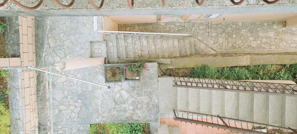 Apartments Peranovic - 10