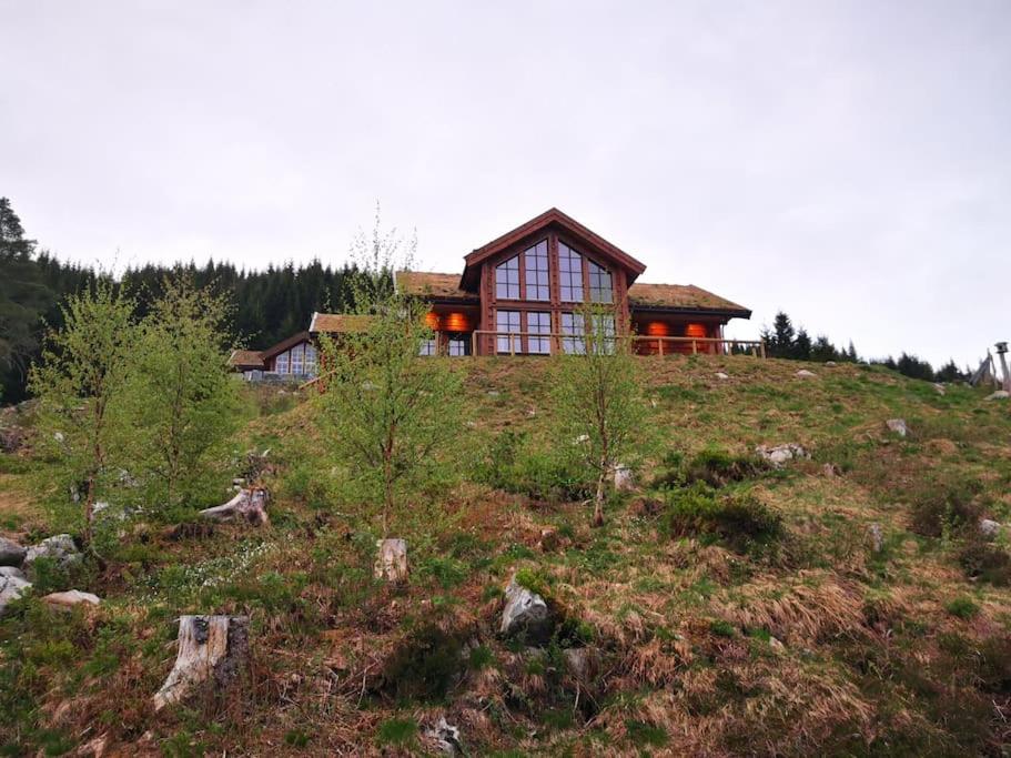 uma casa no topo de uma colina com árvores em Cabin in beautiful surroundings at Harpefossen em Nordfjordeid