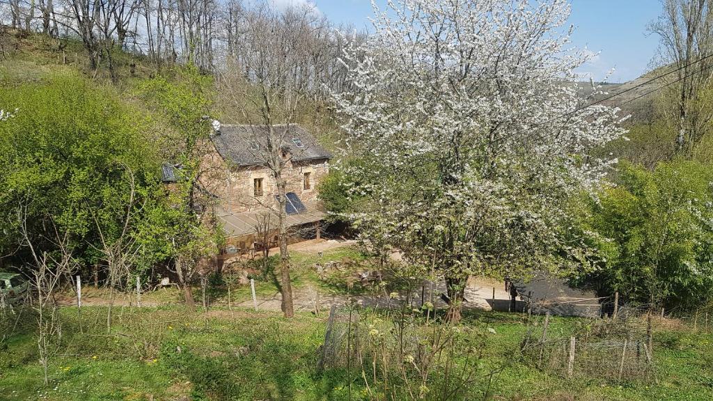 Ein altes Haus mitten auf einem Feld in der Unterkunft maison isolée dans les vignes et les bois in Valady