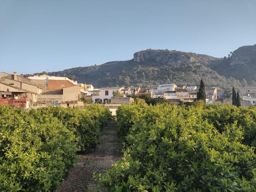Booking.com: Appartement Casa La Gala , Adsubia, Spanje - 16 ...