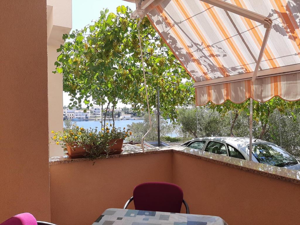 Zahrada ubytování Apartmani Leon