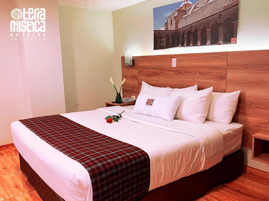 Suite Junior TerraMistica Vallecito