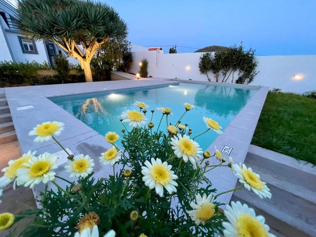 una piscina con fiori di fronte di Casa Às Nove ad Angra do Heroísmo