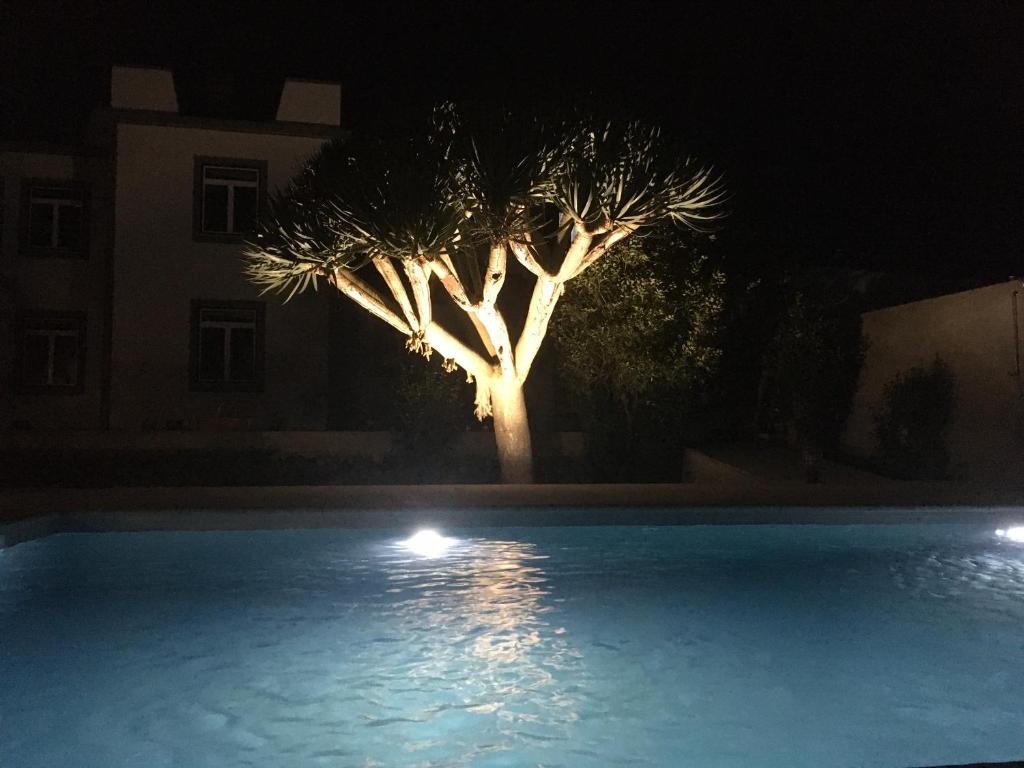Bazén v ubytování Casa Às Nove nebo v jeho okolí