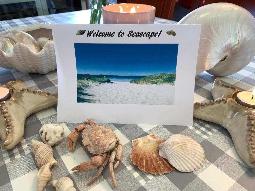 una foto de una playa con conchas en una mesa en Seascape on the edge of town: 4 beds all ensuite., en Belmullet
