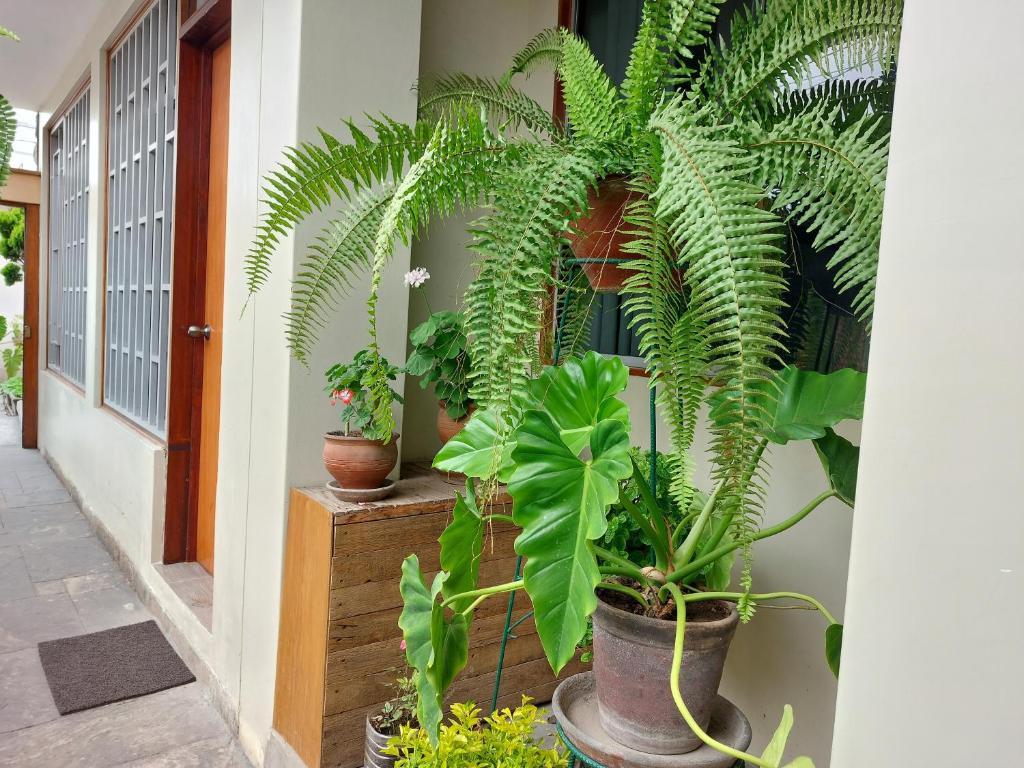 Fotografie z fotogalerie ubytování Casa Amarello v destinaci Lima