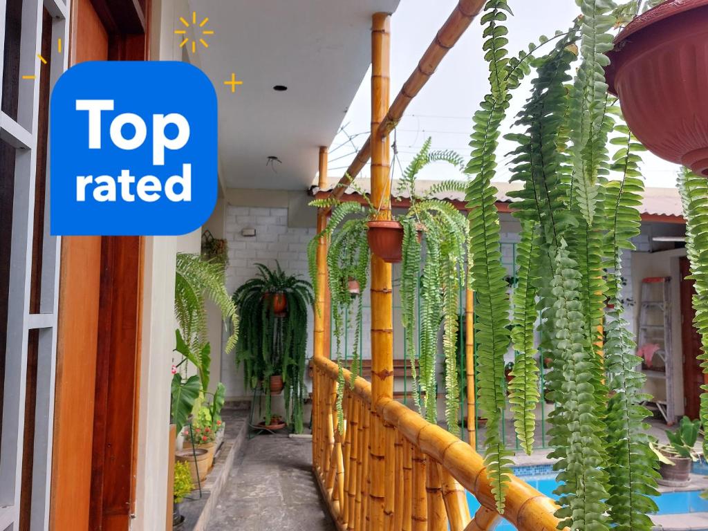 Fotografie z fotogalerie ubytování Casa Amarello v destinaci Lima