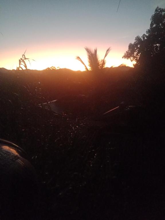 New Farmers Paradise - 18