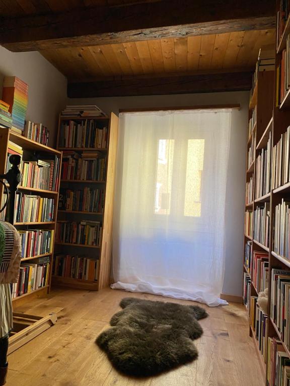 Knihovna v prázdninového domu