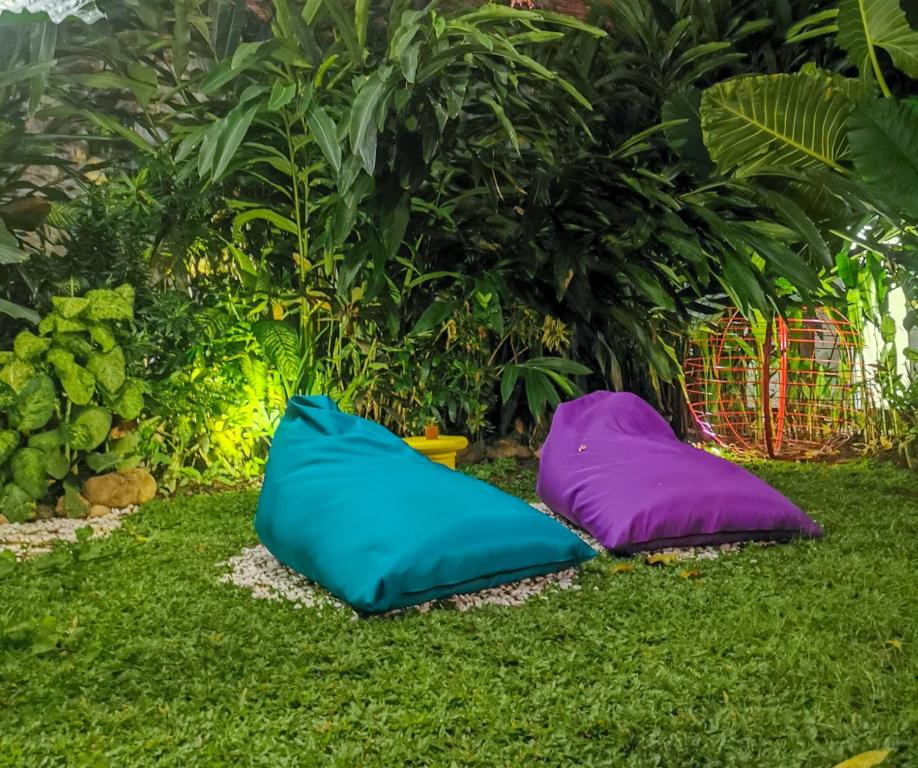 Zahrada ubytování Snooze Ijen
